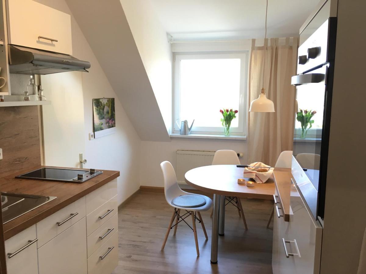 Apartments Am Park Νάουμπουργκ Εξωτερικό φωτογραφία