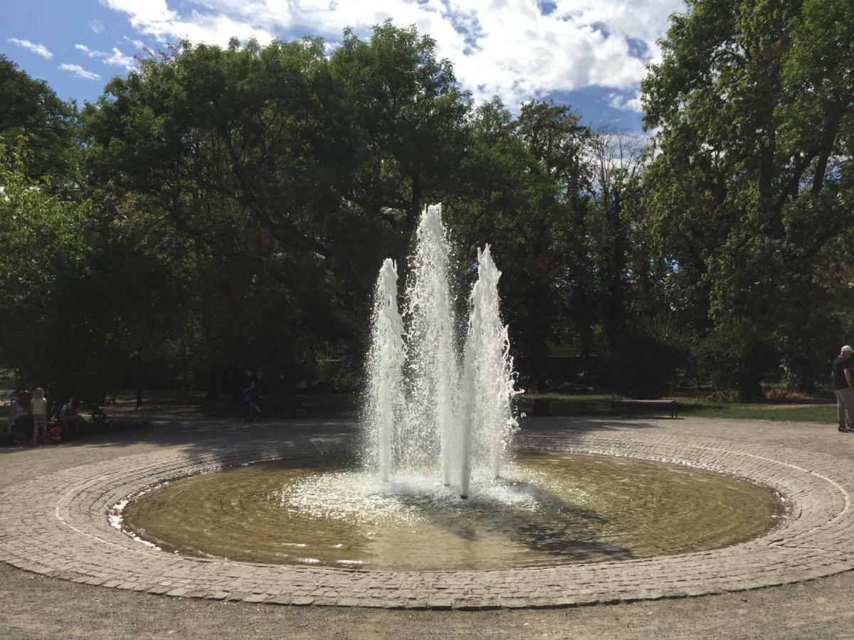 Apartments Am Park Νάουμπουργκ Εξωτερικό φωτογραφία